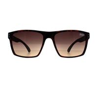 Lunettes de soleil Superdry Kobe 102 havane marron