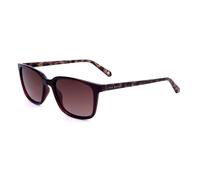 Lunettes de Soleil Ted Baker TB1529 wine 53/17/150 Homme