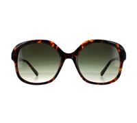 Lunettes De Soleil Ted Baker TB1685 Eloise 267 Tortoise Gris Dégradé Carrées