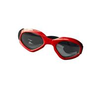Lunettes de soleil tendance pour chien - Coupe-vent - Pliable - Avec sangle élastique réglable