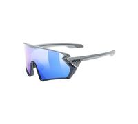 Lunettes de soleil Uvex Sportstyle 231 (5416) OS