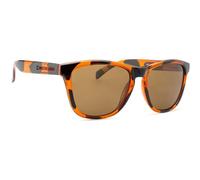 Lunettes Northweek Regular Tortoise