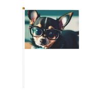 Lunettes pour chien chihuahua double face à manivelle 14 x 20,8 cm, utilisées pour la décoration de fête de vacances, les compétitions