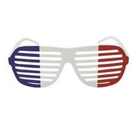Lunettes Rayées Bleu Blanc Rouge Multicolore G