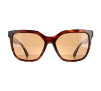 Lunettes Serengeti Wakota SS536004 Tortue Brillante Saturn Polarized Drivers