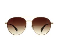 Lunettes Ted Baker TB1682 Konrad 407 Or Antique Brun Dégradé