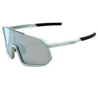 Lunettes van rysel taaien gris vert