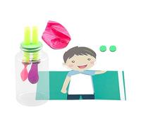 Lung Function Model - Human Lung Assemble Model | Educational Science Toy Breathing Demonstration Kit For Preschool Kindergarten School Human Body Organs Teaching Aid