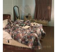 Lungs Dirt & Dreams [Import]