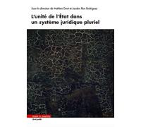 L'unité de l'état dans un système juridique pluriel - Mathieu Doat - Mare & Martin - broché - Etude