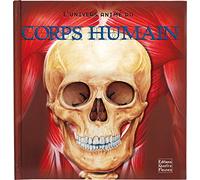 L'univers animé du corps humain