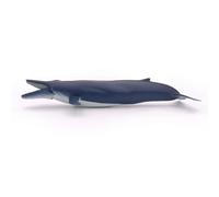 L'univers Marin Baleine Bleue