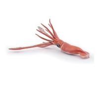 Papo Figurine Calmar géant – Univers marin – À partir de 3 ans – 56058