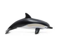 L'univers Marin Dauphin Commun