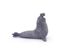 L'UNIVERS MARIN Eléphant de mer