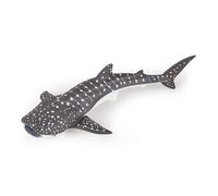 L'UNIVERS MARIN Jeune requin baleine