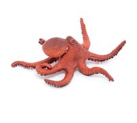 L'univers Marin Petite Pieuvre