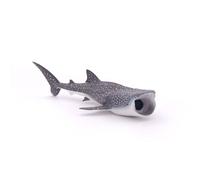 L'UNIVERS MARIN Requin baleine