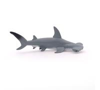 L'UNIVERS MARIN Requin marteau