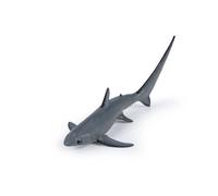 L'univers Marin Requin Renard