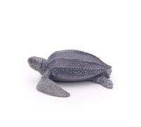 L'univers Marin Tortue Luth