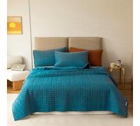 Lunoroey AC100127220240 Parure de lit Bleu Sarcelle 220x240cm