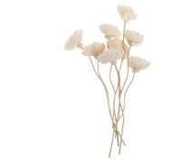 LuoAXINN Bâtons de Diffuseur Diffuseur d'huile Essentielle de Canne à Fleurs séchées, sans feu, bâtons d'aromathérapie, bâton Roseau en rotin