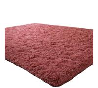 LuoAXINN Tapis pour la Maison Tapis d'intérieur Doux et Moderne for Salon, Chambre à Coucher, décoration, 5,3 x 7, Pieds(Color1)