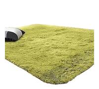 LuoAXINN Tapis pour la Maison Tapis d'intérieur Doux et Moderne for Salon, Chambre à Coucher, décoration, 5,3 x 7, Pieds(Green)