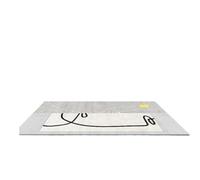 LuoAXINN Tapis pour la Maison Tapis Salon Canapé Table Basse Chambre De Chevet Vestiaire Couloir Salle Bain Antidérapant(Color3,200x300cm)