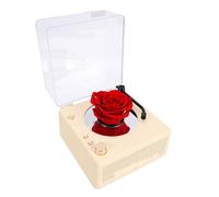 Luocute Haut-Parleur BT Vintage avec Rose Préservée et Lumière Ambiante | BT 5.3, Son Surround 360°, Lecture de Carte Mémoire jusqu'à 32 Go, Bouton D'enregistrement pour Message Vocal