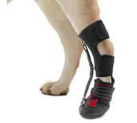 Luocute Sangle pour Chien sur Attelle de Pied Tombant, Support de Jambe Réglable pour Améliorer la DéMarche de Marche avec Semelle Anti-Abrasion et Sangles Réfléchissantes pour Chiens (S)