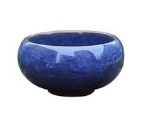 Luojuny Succulent Pot Mini Planteur de Planter à Usine Multi-Usure délicate pour Les Yeux délicat. Bleu foncé