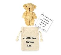 LUOKIFUR Ours de Poche en Peluche poupée Petit câlin de Poche pour Papa Ours câlin fête des pères Cadeau d'anniversaire de Noël(Pocket Bear Dad)