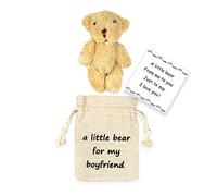 LUOKIFUR Poupée en Peluche Ours de Poche Petit jeton d'amour de câlin de Poche Envoyer des Cadeaux de Petit ami d'anniversaire de câlin d'ours aux Personnes dans Le Besoin(Pocket Bear Boyfriend)
