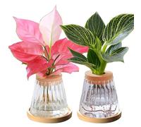 luolety Lot de 2 terrariums de propagation de plantes, station de propagation de plantes en verre, support de boutures de plantes de bureau, vase en verre pour la culture de plantes hydroponiques (A)