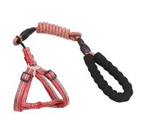 LUOLIE Collier pour chien, câble d'attache pour chien, laisse de chien, harnais de laisse longue pour animal de compagnie, ceinture d'entraînement solide pour la marche, la natation, poignée souple
