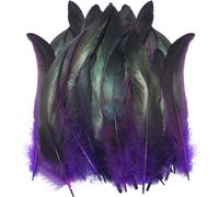 LUORNG Lot de 50 plumes colorées en forme de queue de coq violettes de 20 à 25 cm pour performance sur scène, masque de bal masqué, coiffe, bricolage, décoration, jouets en vrac, plumes en vrac