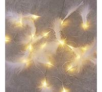 Luottus Guirlande lumineuse romantique avec plumes - À piles - Décoration de chambre à coucher