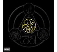 Lupe Fiasco's the Cool