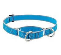 Lupine Collier martingale réfléchissant pour chien Largeur 2,5 cm Bleu diamant réglable de 38,1 cm à 55,9 cm