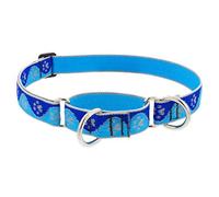 Lupine Collier martingale réfléchissant pour chien Motif pattes bleues Largeur 2,5 cm Réglable de 38,1 cm à 55,9 cm