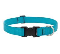 Lupine Collier pour chien de 2,5 cm de large réglable de 40,6 à 71,1 cm de long