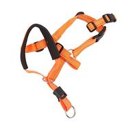Luqeeg Collier de Tête pour Chien, Sangle de Muselière Réglable avec Nylon Doux, Idéal pour l'entraînement sans Traction et Le Contrôle des Morsures (L)
