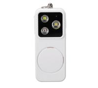 Luqeeg Lumière d'alarme de sécurité, Sirène Puissante de 150 DB, Lampe Porte-clés Rechargeable par USB avec 4 Modes d'éclairage et Chargement de Type C, Idéale pour Les Urgences, la Course de Nuit