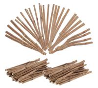 Lurrose 150 Pièces Bâtonnets en Bois de Thé de 10cm pour Loisirs Créatifs, Brindilles Marron Polyvalentes, Outils Précis pour Maquettes et Accessoires Photo DIY