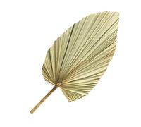 Lurrose 1pc Feuille de Palmier Séchée Naturelle Grosse Décorative en Bois Léger pour Mariage et Activités Thème Hawaii Facile à Décorer et Expérience Visuelle Relaxante