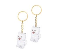 Lurrose 2 pièces Boîte Souvenir pour Poils Animaux Porte-clés Pendentif pour Poils de Chien Coffret Mémoire Transparent Compact pour Souvenir Animal Portable