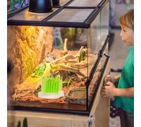 Lurrose 2 pièces Humidificateur Reptile sans Électricité Vert Naturel Brumisateur Réservoir pour Terrarium Aménagement Paysager Cage Reptiles