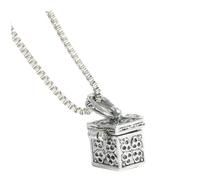 Lurrose Collier Urne pour Cendres de Chien en Acier Inoxydable Argenté Pendentif Urne d'animaux de Compagnie Personnalisable Bijou Commémoratif pour Souvenir Funéraire Accessoire